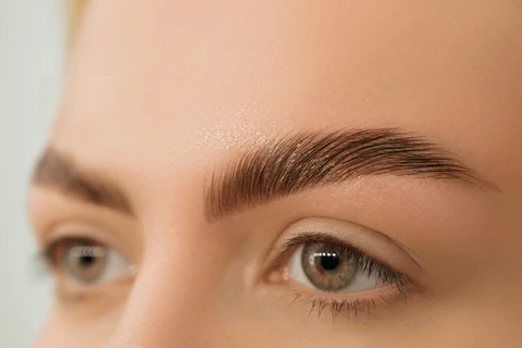 Brow Wax, Tint and Brow Lamination Course